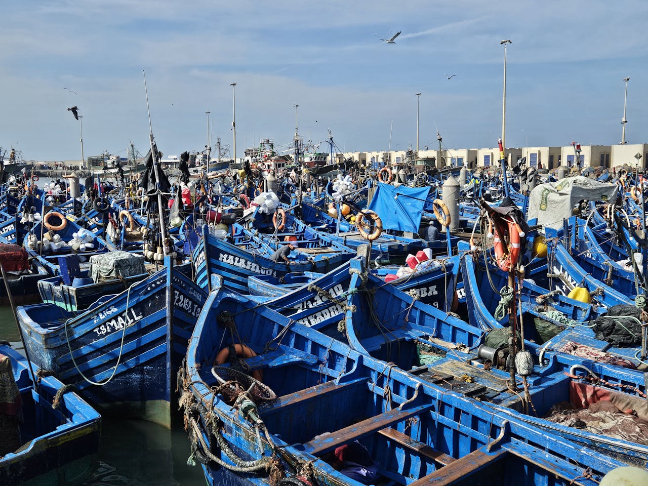 story-01 Colorful blue fishing boats crowd a bustling port under a bright day sky.